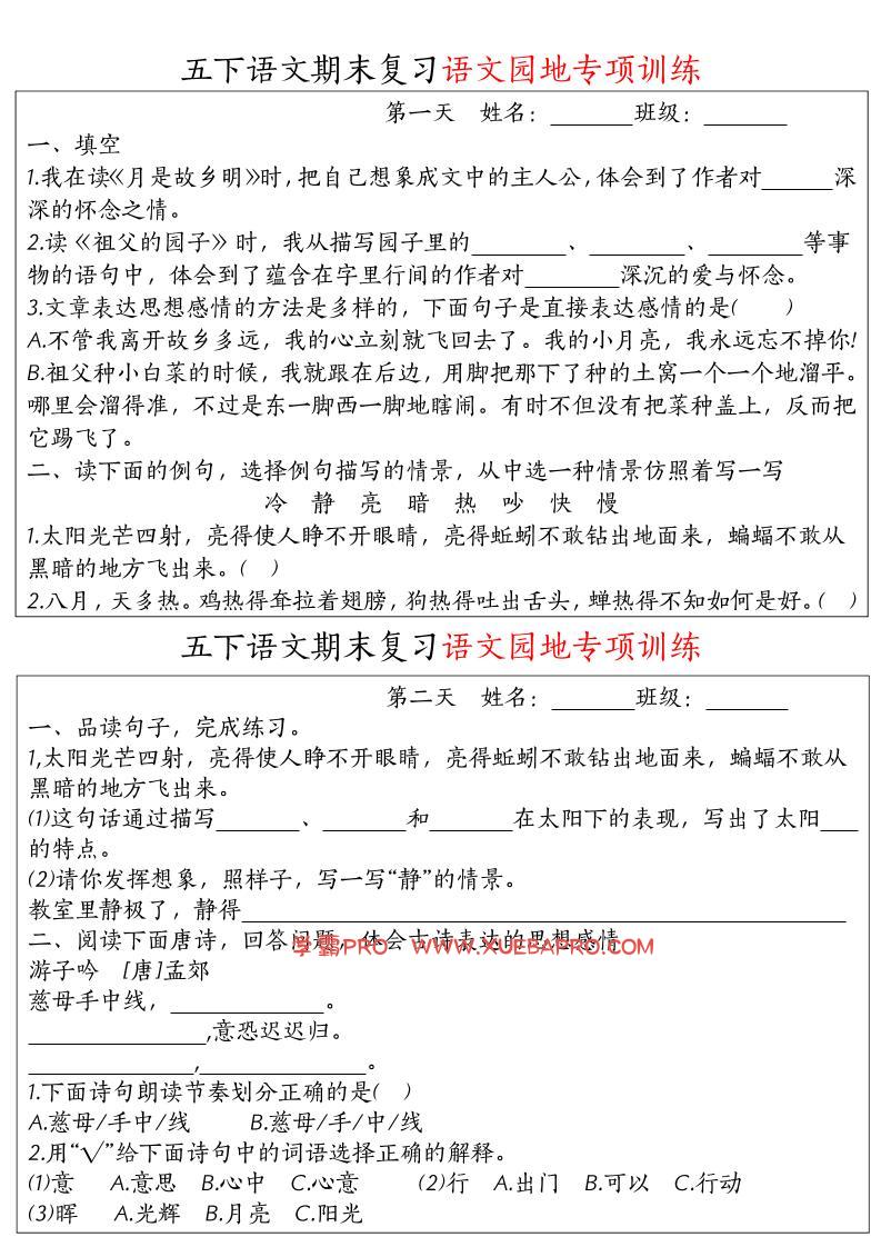 【期末复习语文园地专项训练】五下语文-学霸PRO